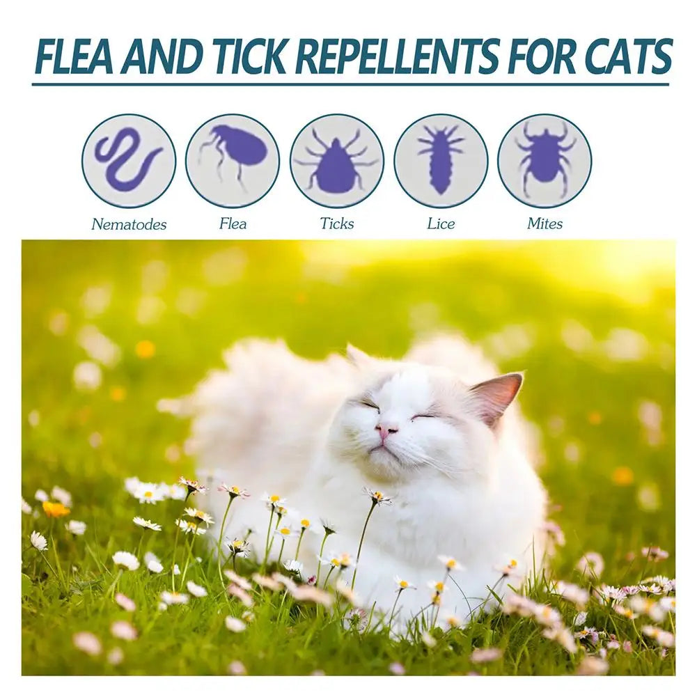 1/3/5/10PCS Pet Flea Killer Drops anti Fleas Cats Ticks Lice Mite Removal Relieve Itching Dogs Ringworm Treatment Pet Insect Rem
