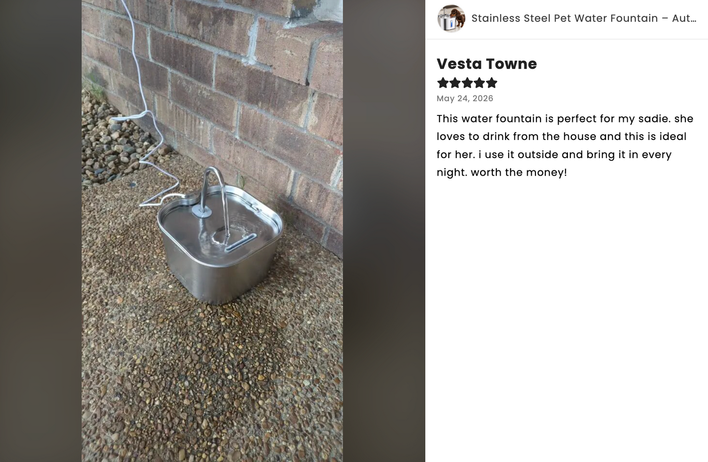 Stainless Steel Pet Water Fountain – Automatic Pet Water Dispenser