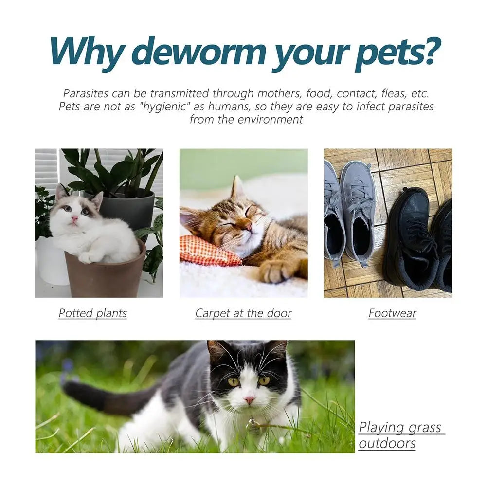 1/3/5/10PCS Pet Flea Killer Drops anti Fleas Cats Ticks Lice Mite Removal Relieve Itching Dogs Ringworm Treatment Pet Insect Rem